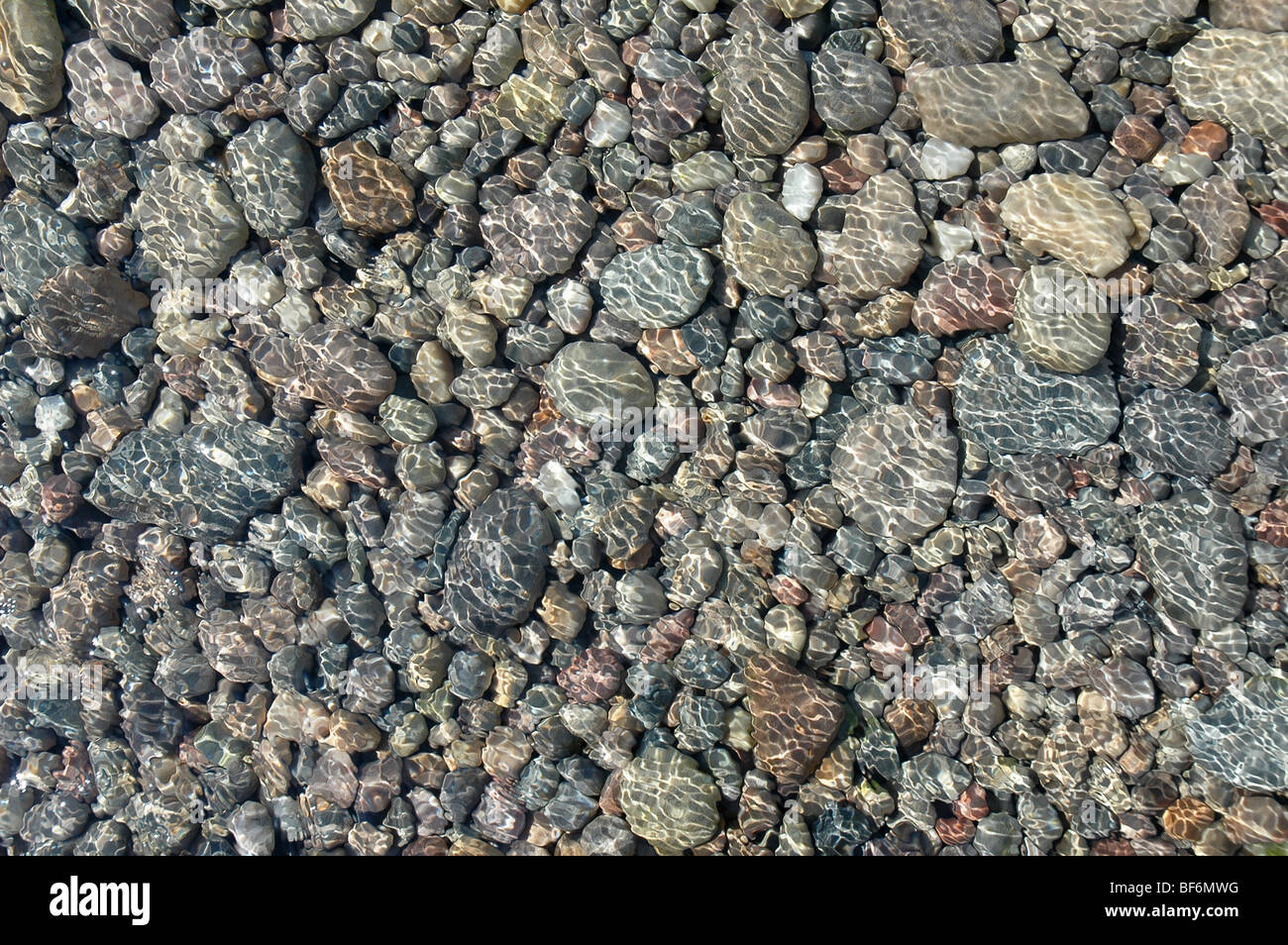 Smooth pebbles seen through shallow water with the sunlight diffused through ripples caused by the wind Stock Photo