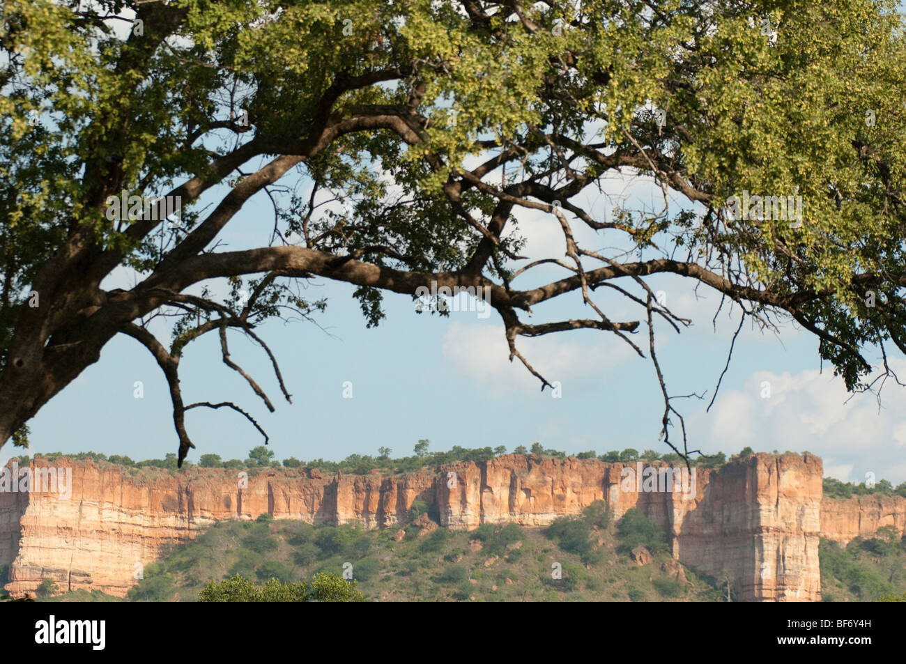Gonarezhou National Park Zimbabwe Africa place of elephants Chilojo