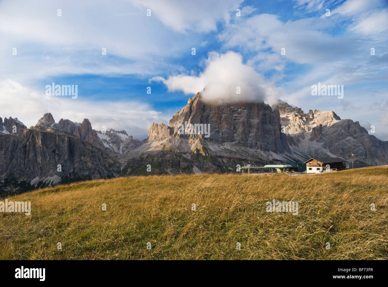 An alpine meadow in the Dolomite mountains of Italy Stock Photo - Alamy