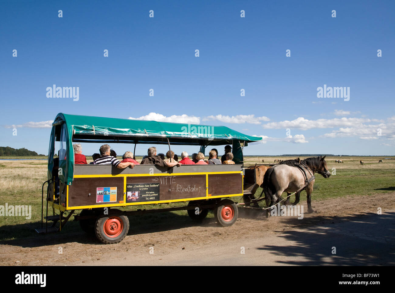 Horse-drawn carriage near Vitte, Hiddensee island, Mecklenburg-Western Pomerania, Germany Stock Photo