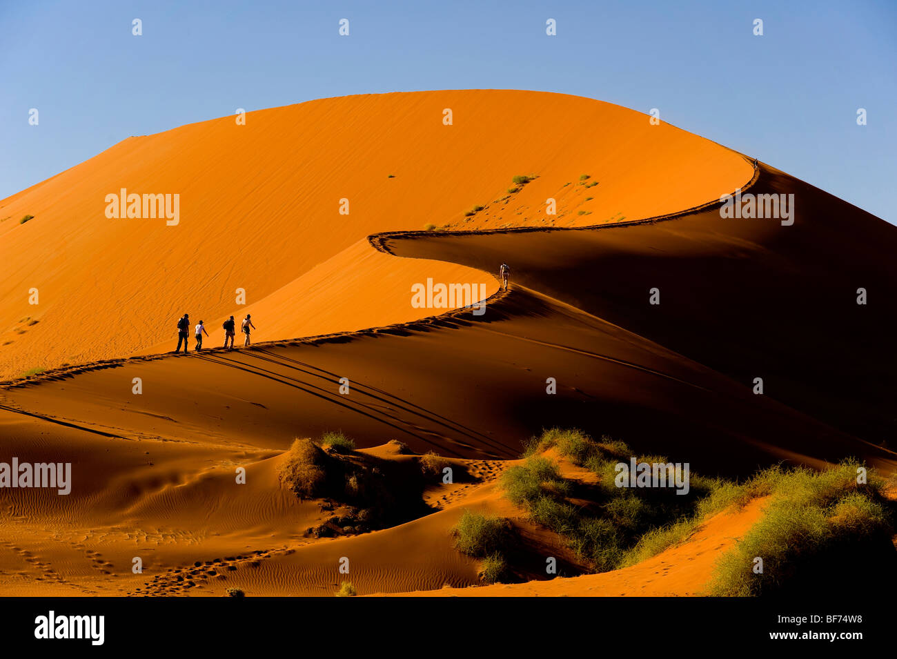 Tourist climbing the red dunes at Sossusvlei, Namib Naukluft National ...