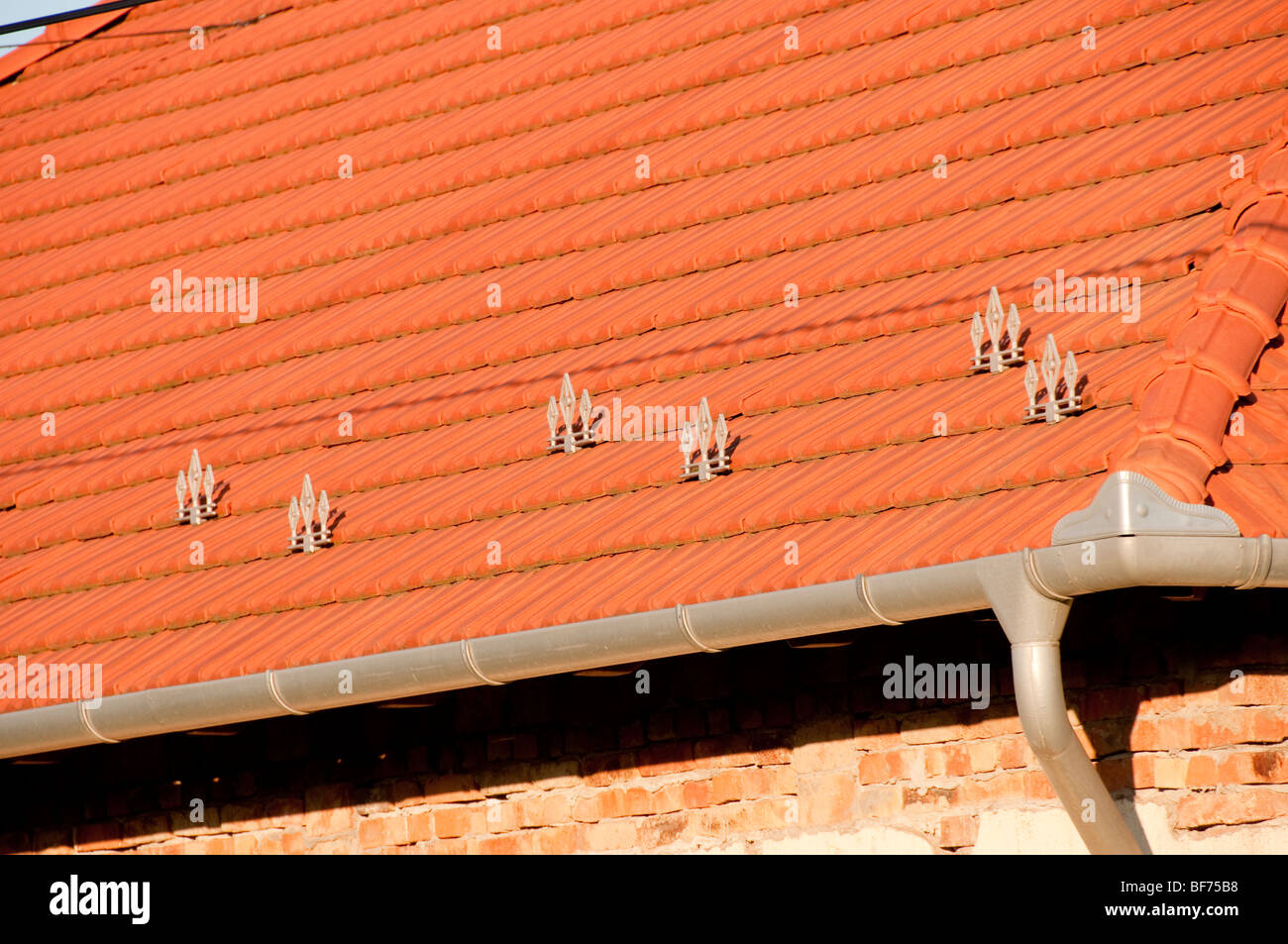 Roof tiles and decorative finials on house in Romania Stock Photo Alamy