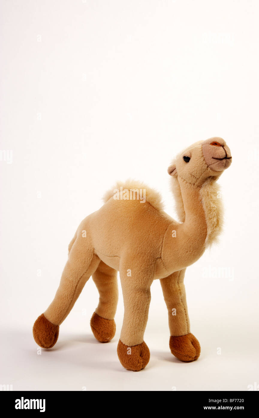 Stuffed camel isolated on plain background Stock Photo