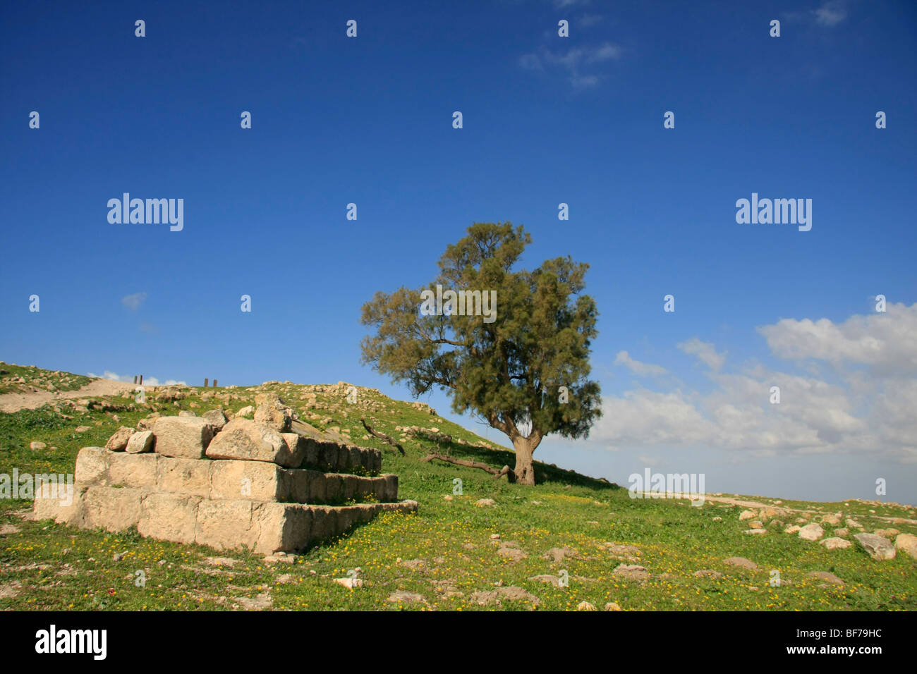 Tel Zafit, identified as the site of biblical Gath Stock Photo