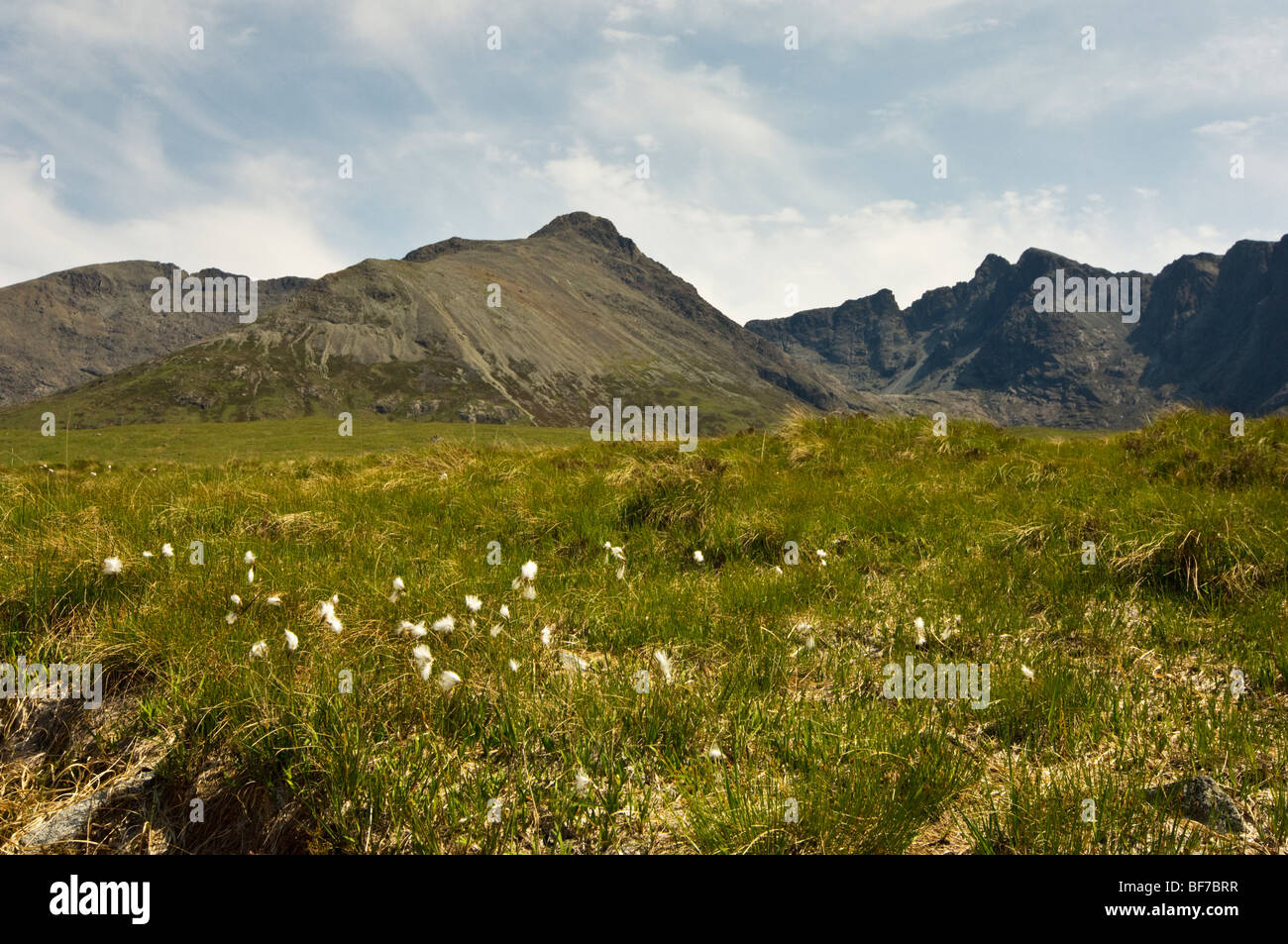 Isle of Sky, looking toward the Cullins (Black Cullin on right) with cotton grass in the foreground, Scotland, UK Stock Photo