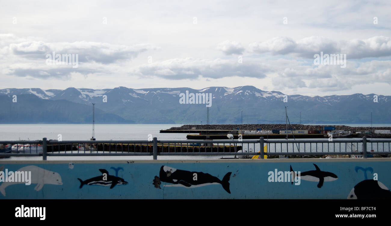 Wall with whales painted on, Husavik, Iceland Stock Photo