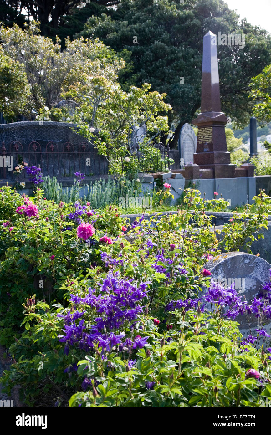 Flowers and gravestones in Bolton Street Memorial Park, Wellington, New Zealand Stock Photo
