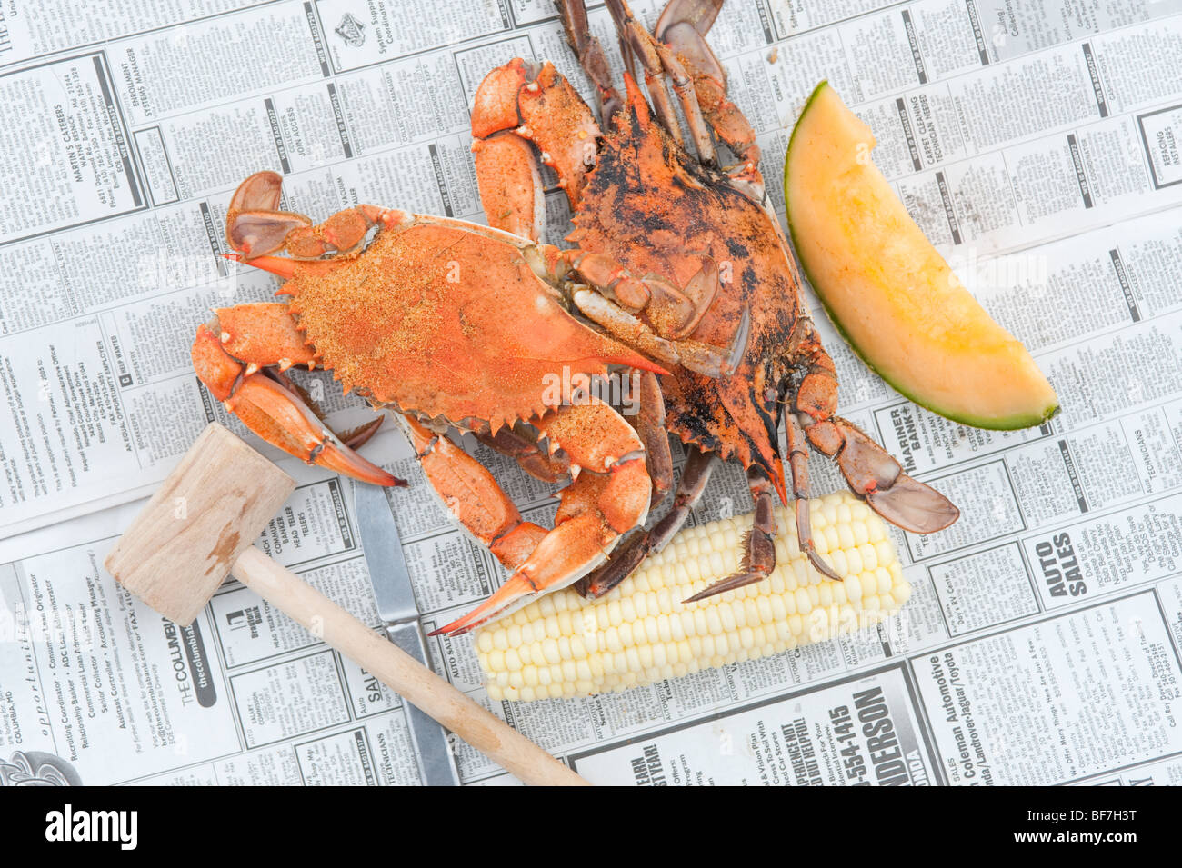Steamed crabs , Chesapeake Bay Maryland Stock Photo Alamy