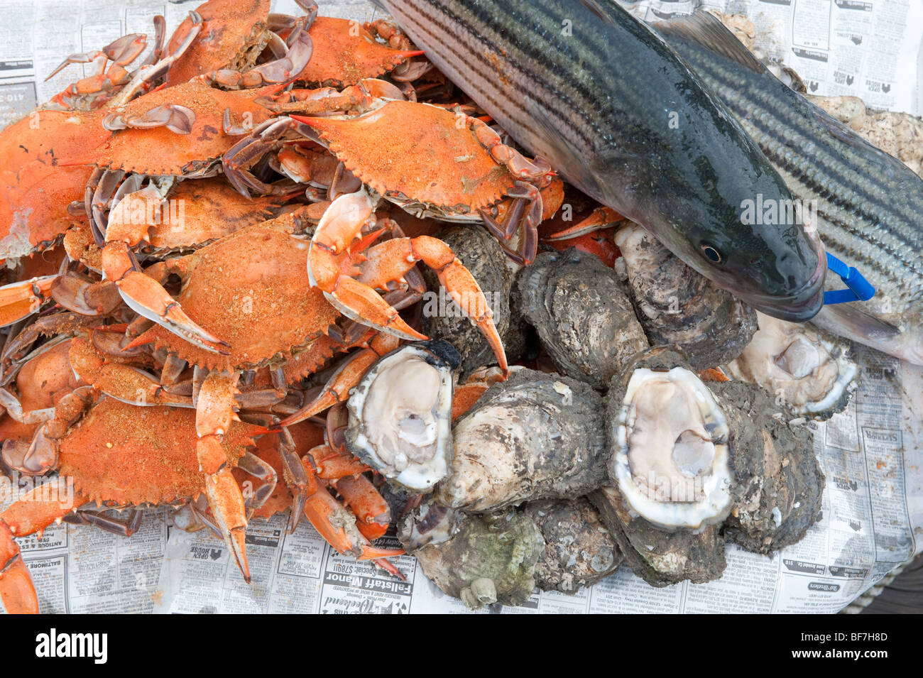 Crabs, oysters, and rockfish on the eastern shore Stock Photo Alamy