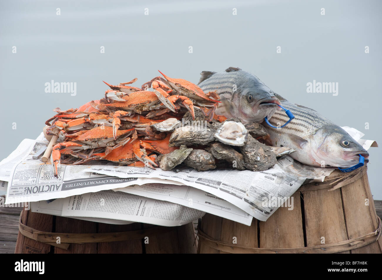 Fish and crabs on newspaper Stock Photo