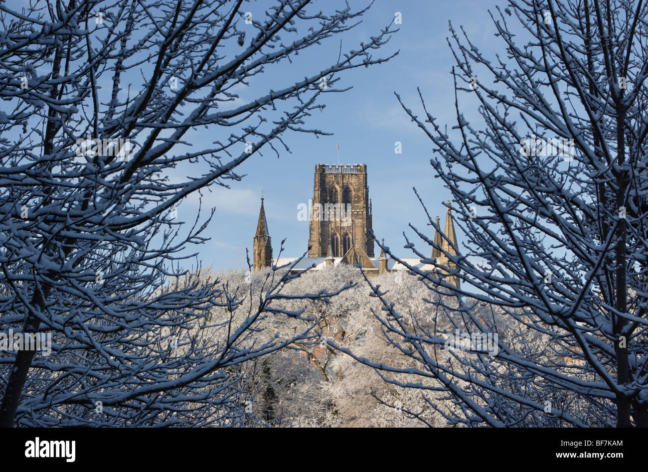 Durham cathedral seen through snow covered trees in winter time, England, UK Stock Photo