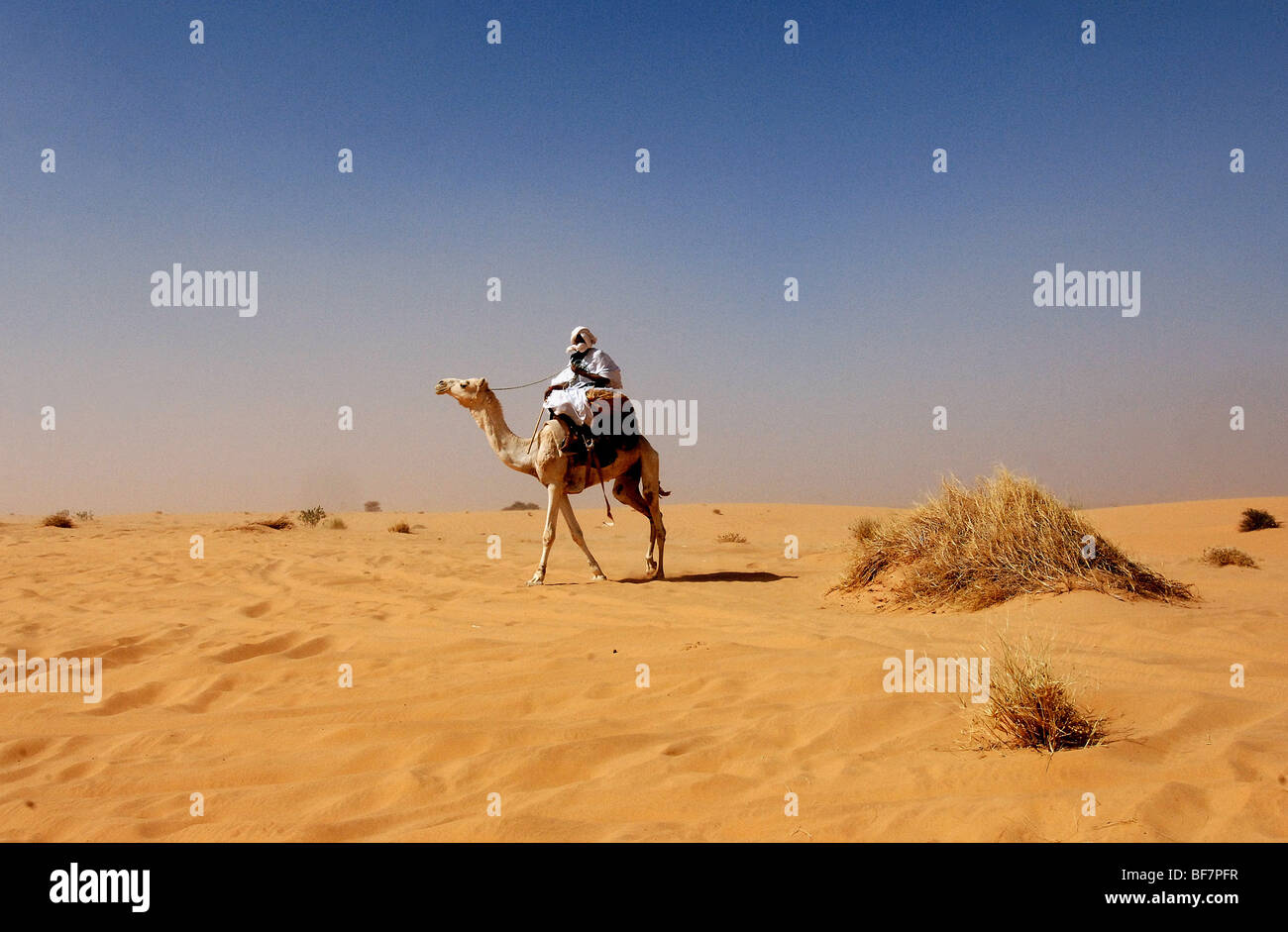 Mauritania: A tuareg on a dromedary Stock Photo