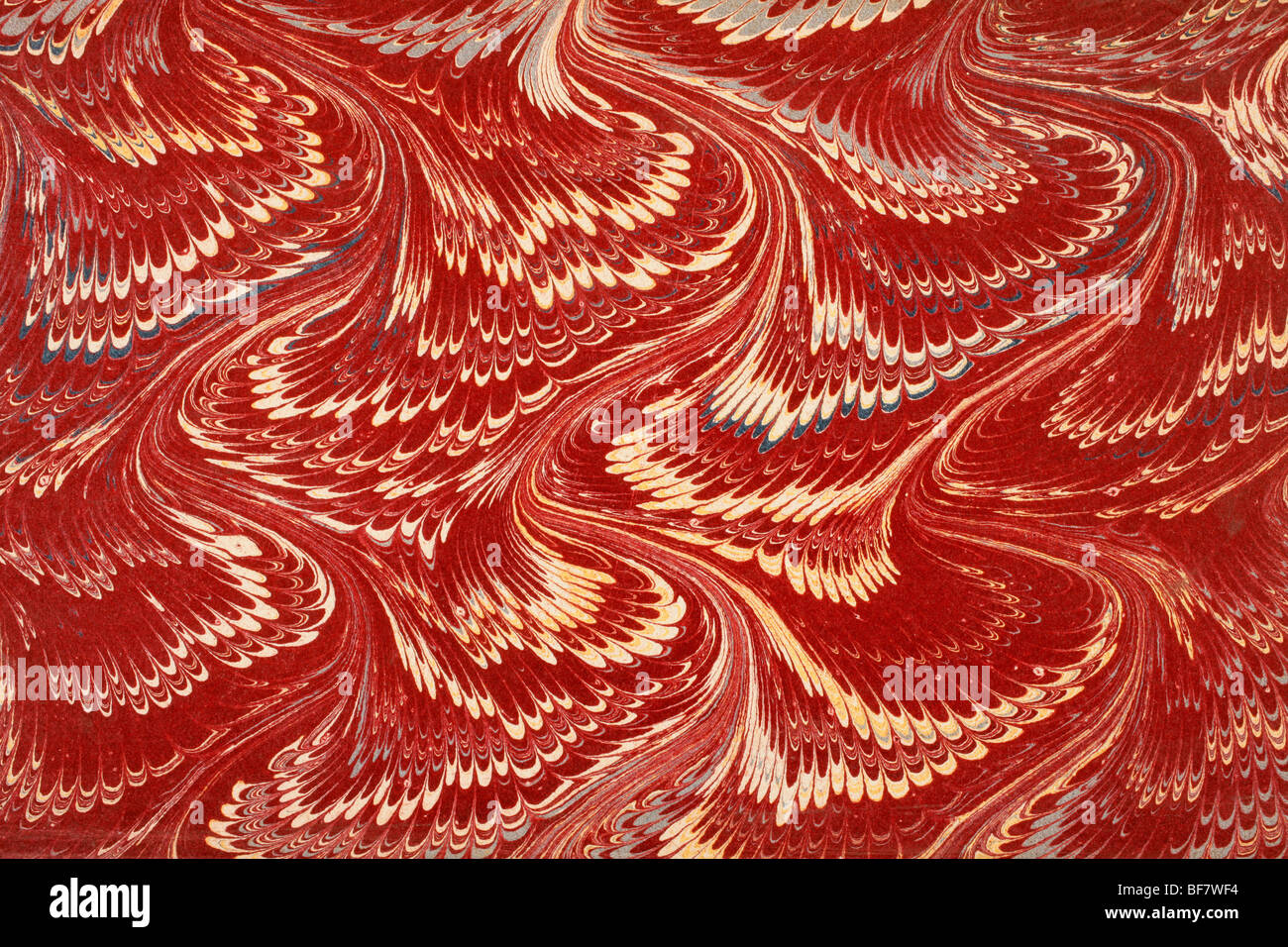 Decorative endpaper from a nineteenth century book Stock Photo