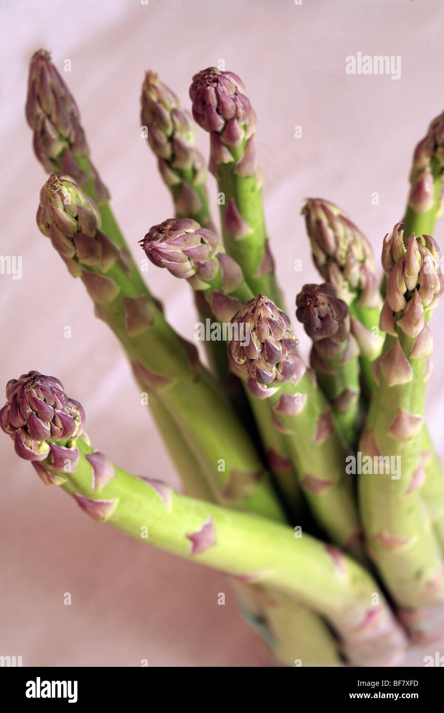 Asparagus Stock Photo