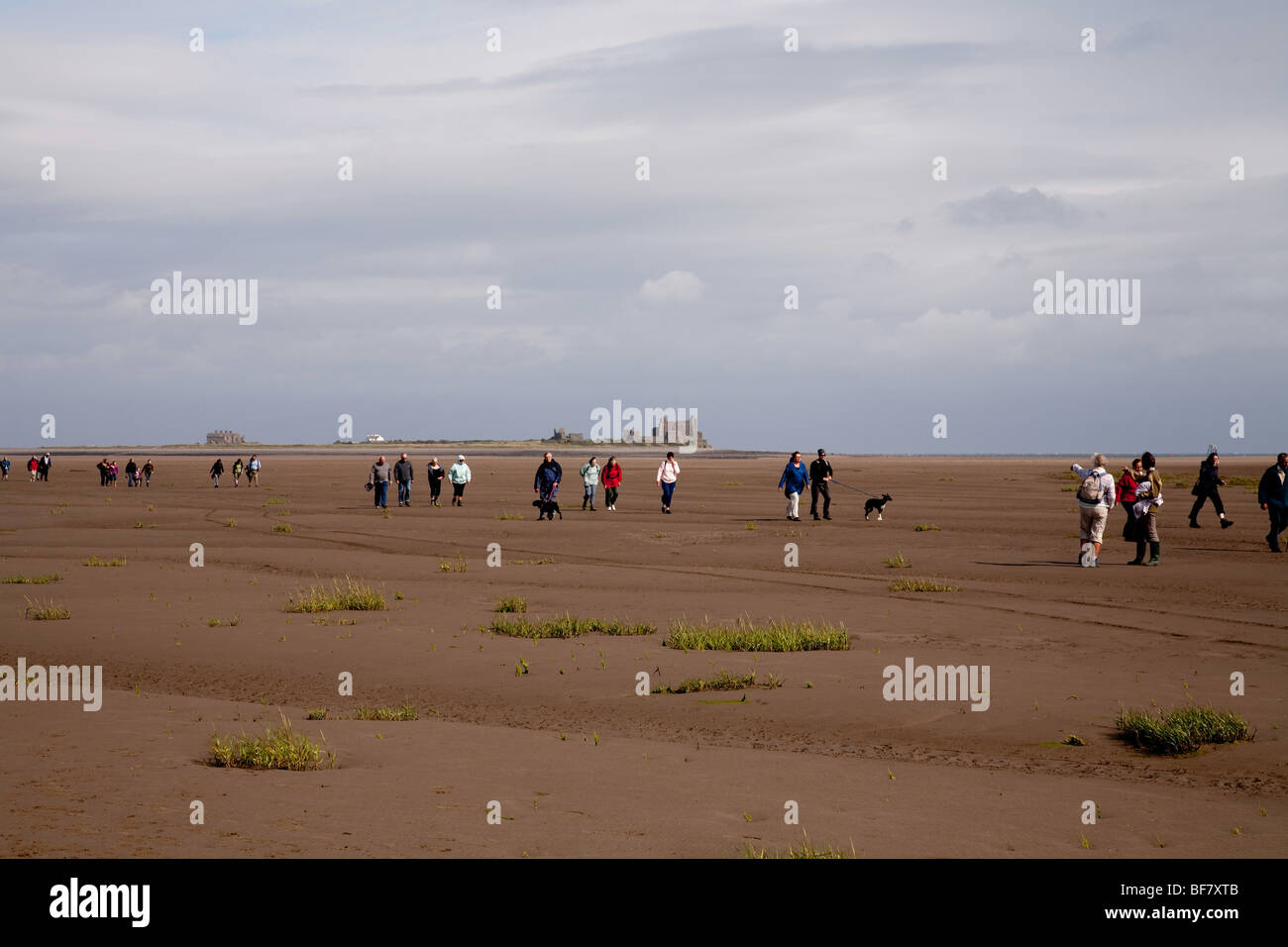 A guided walk from Walney Island to Piel Island across the sands Stock
