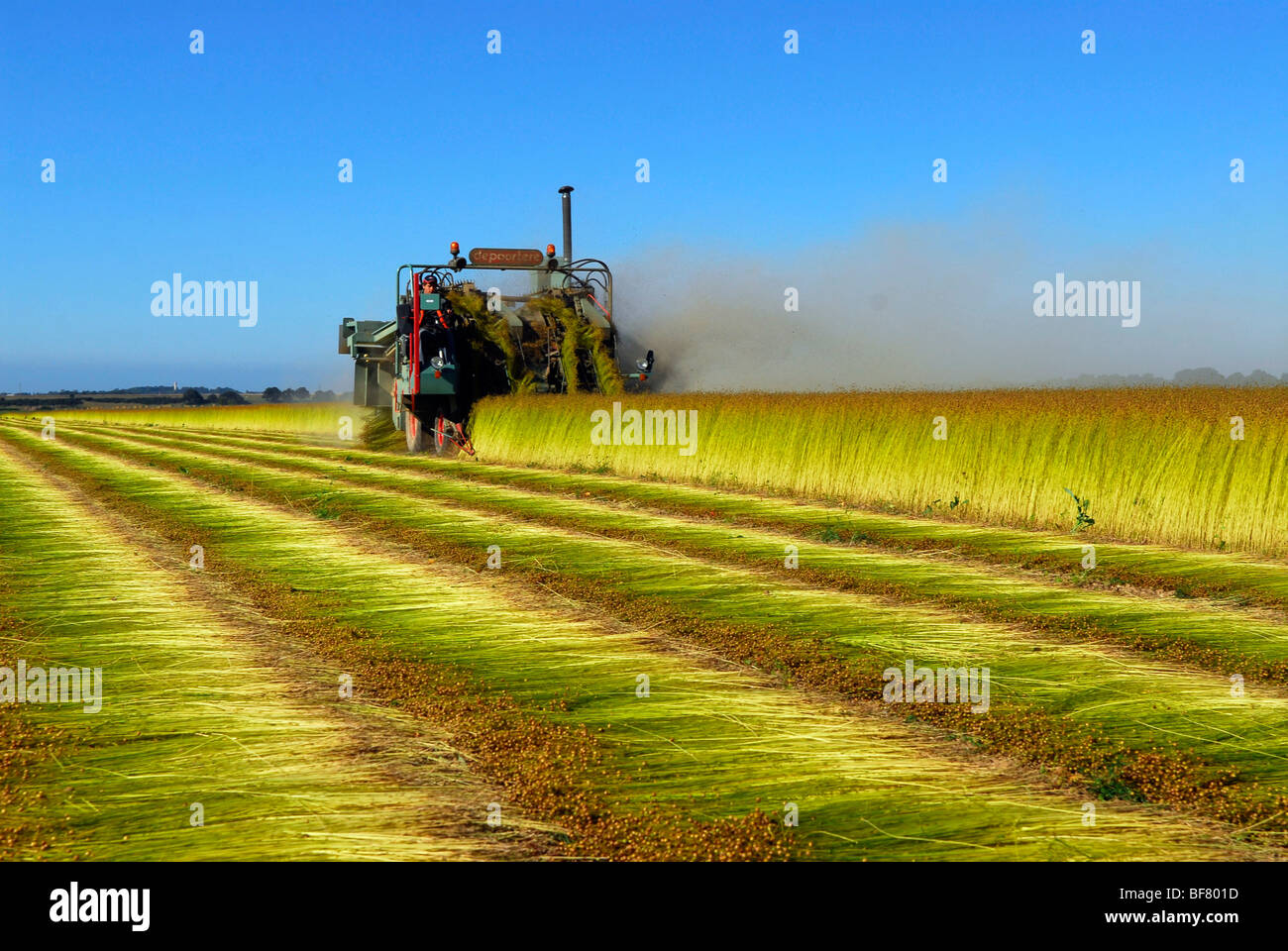Flax industry flax harvest Stock Photo Alamy