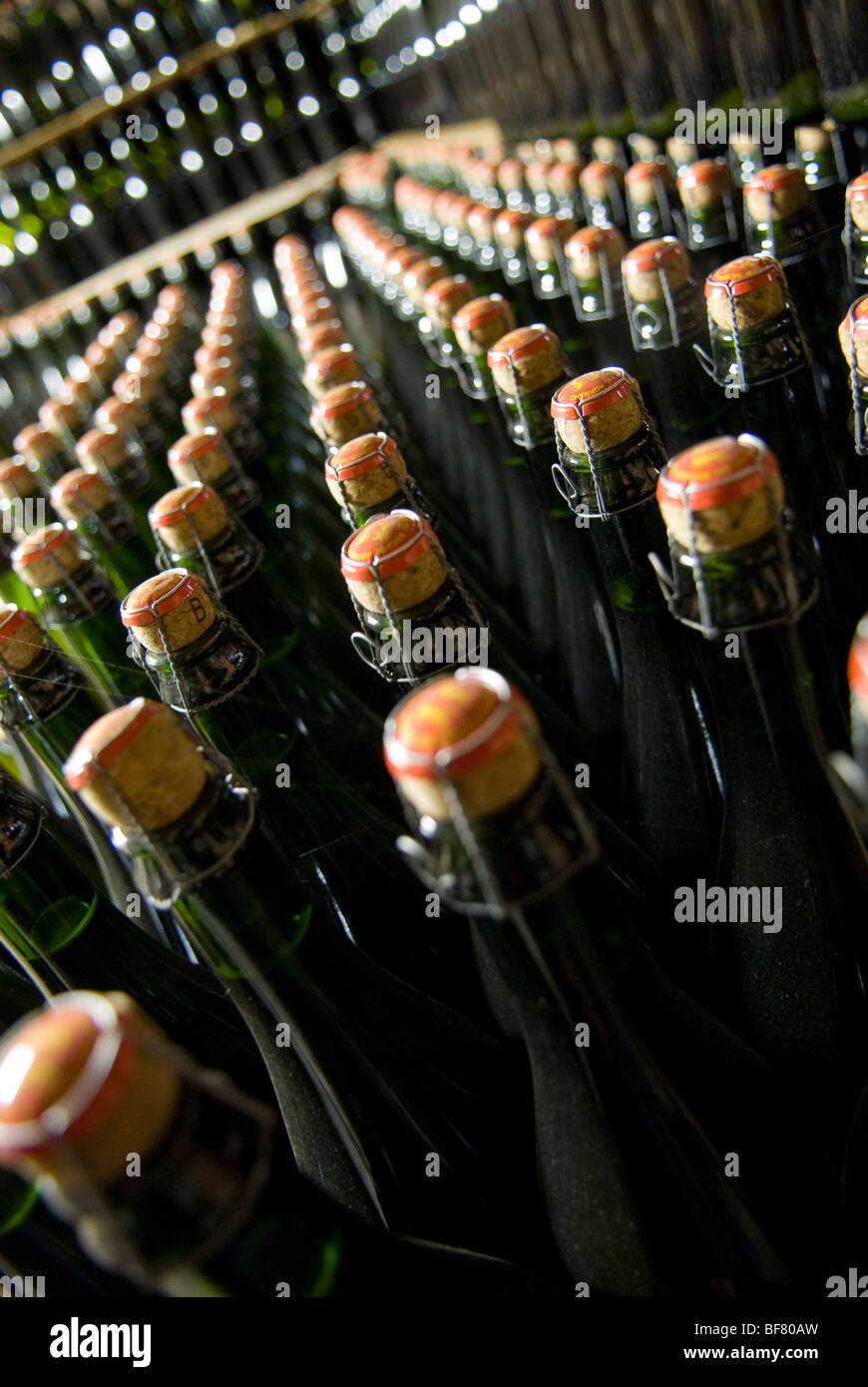 Bottles of cider Stock Photo