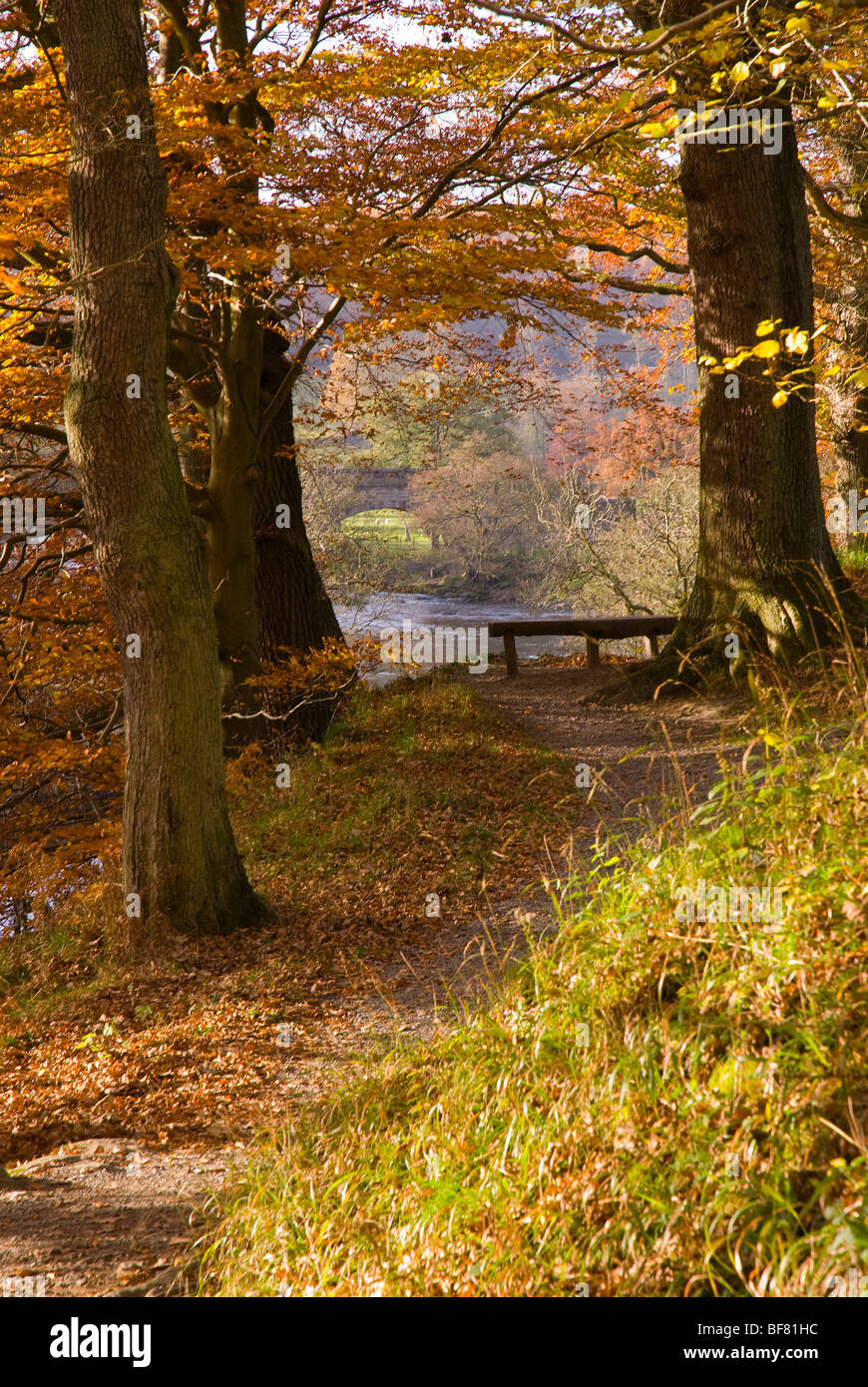 Autumnal scene by the River Wharfe Stock Photo