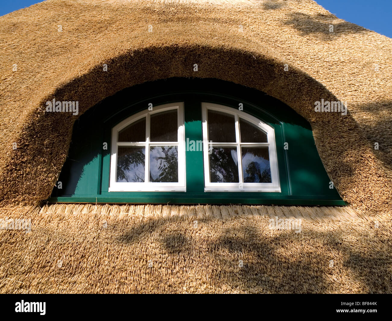 Rooflight on a thatched roof on a farm house in Northern Germany. Stock Photo