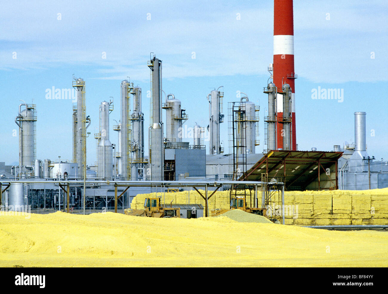 Sulphur Plant Stock Photo Alamy