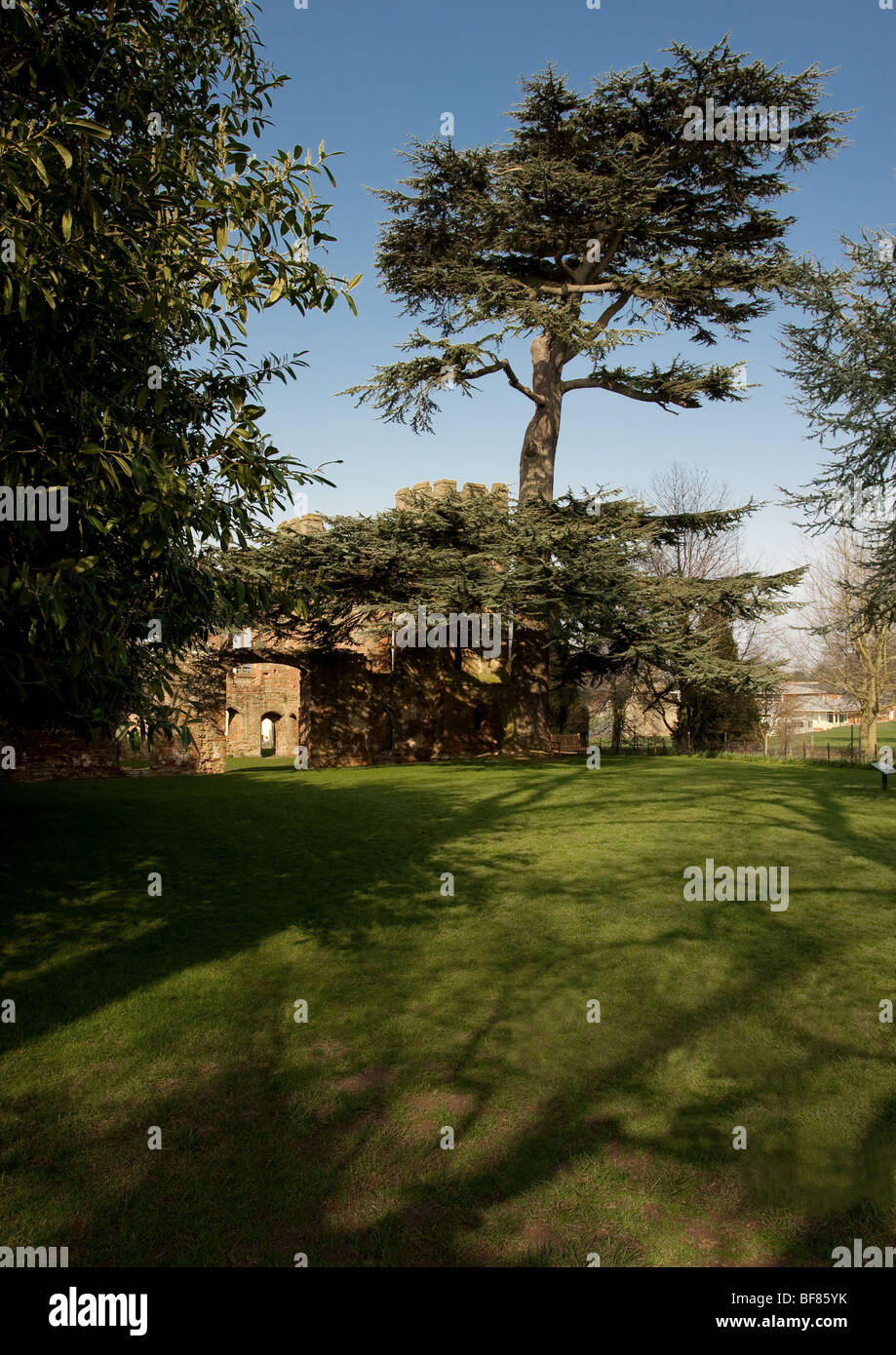 view of Acton Burnell Castle in Shrewsbury. An old fortified manor