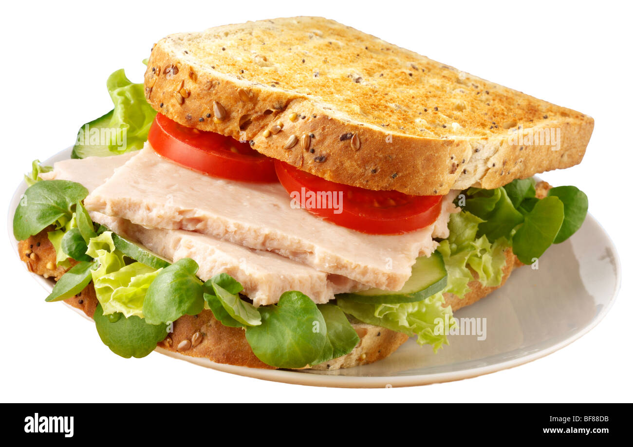 TOASTED TUNA FISH SANDWICH Stock Photo Alamy