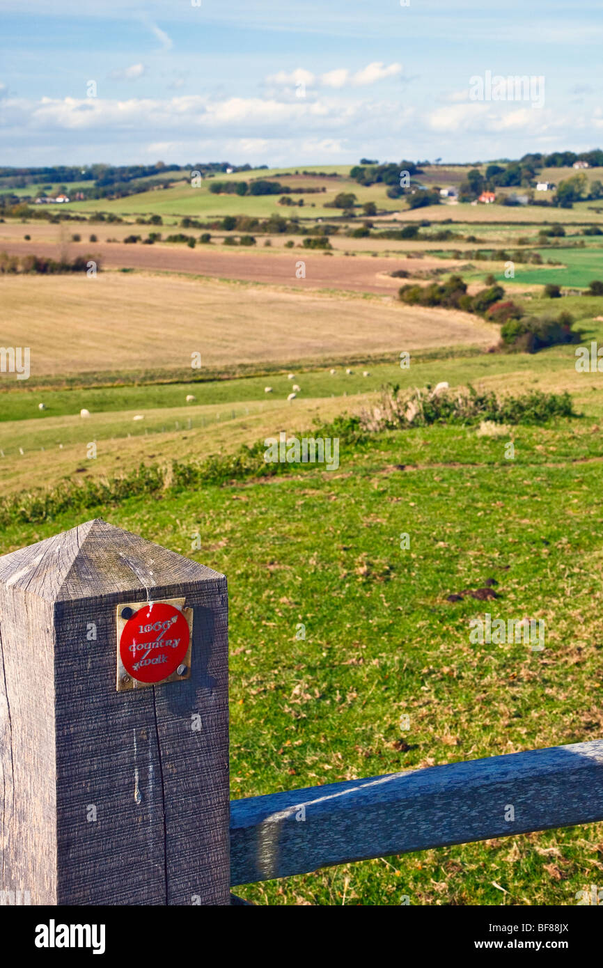 1066 Country Walk gate near Winchelsea, East Sussex, England, UK 2009 Stock Photo