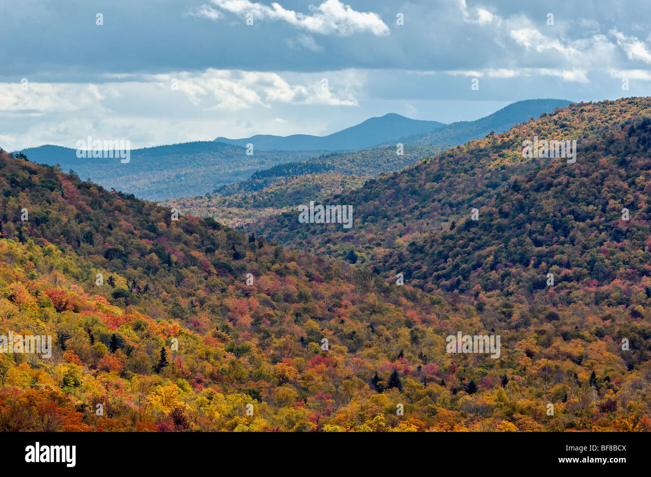 Autumn Color in the White Mountains National Forest in New Hampshire Stock Photo