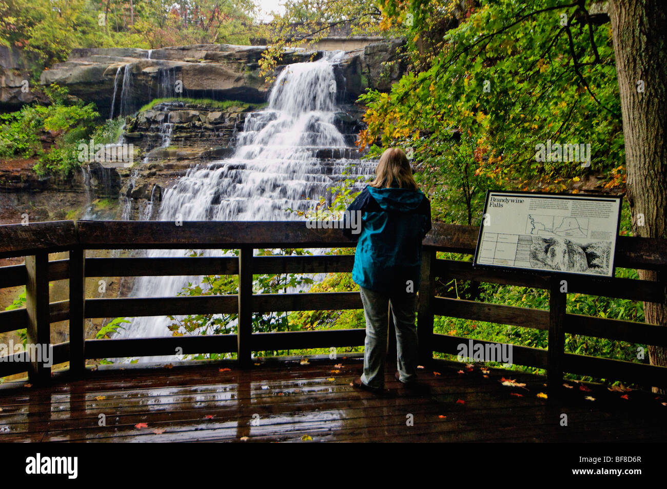 Woman Viewing Brandywine Falls in Cuyahoga Valley National Park in Ohio Stock Photo