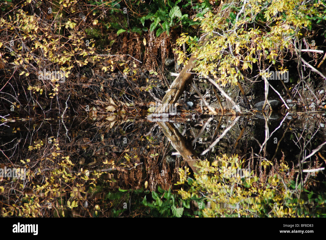 Playing with reflex Stock Photo