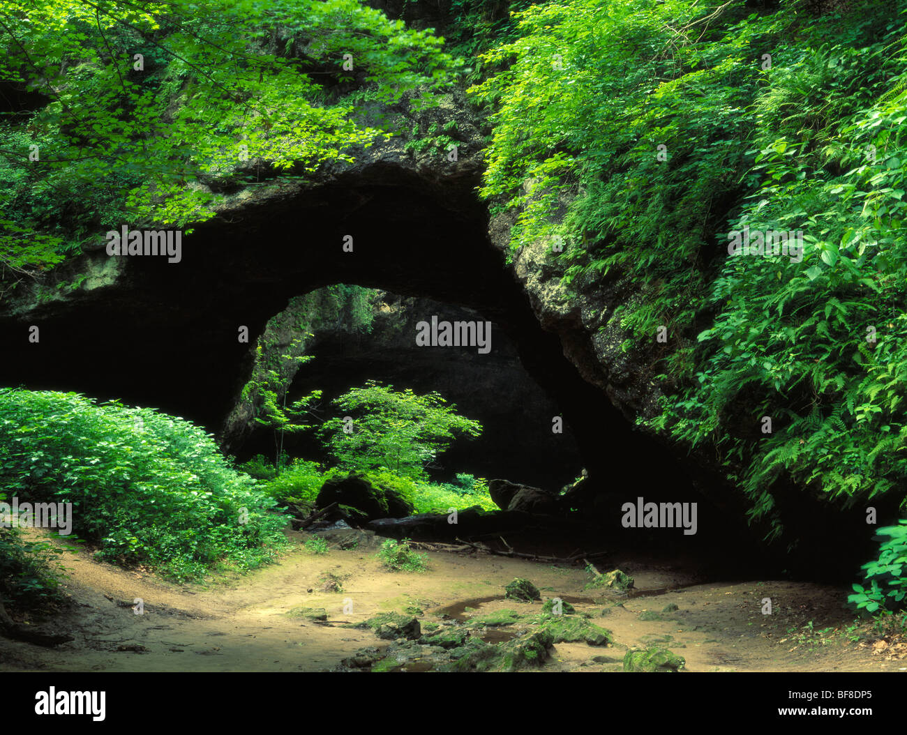 natural bridge, Maquoketa Caves State Park, Jackson County, Iowa Stock Photo