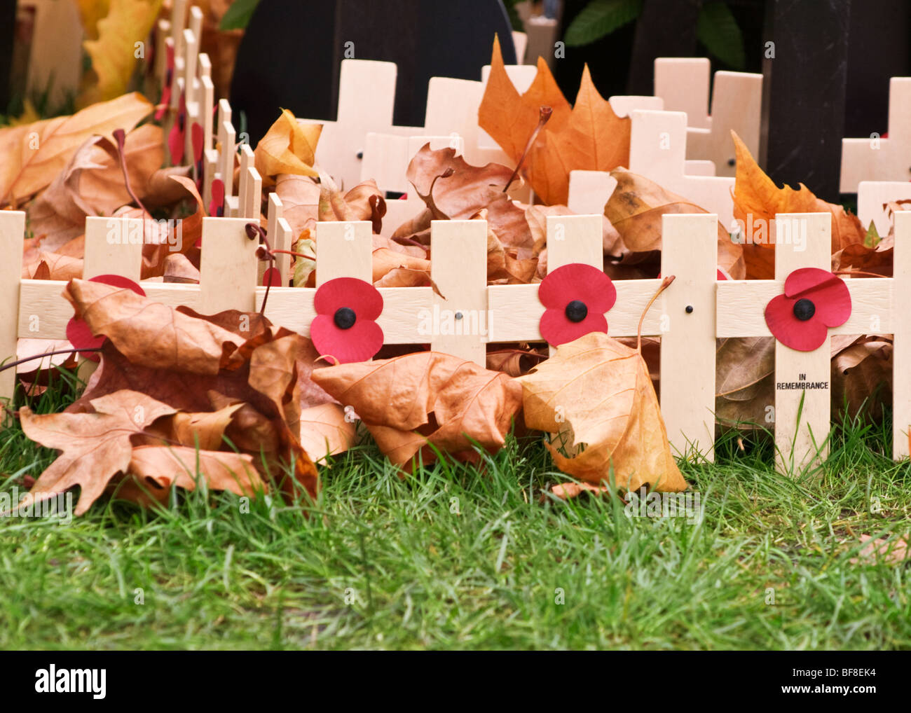 Remembrance day, Westminster, London. View from the front. Close up Stock Photo