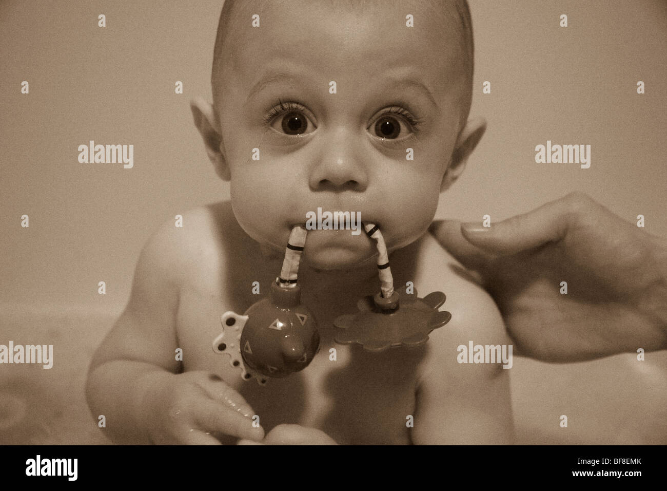 Six month old baby boy having a bath Stock Photo Alamy