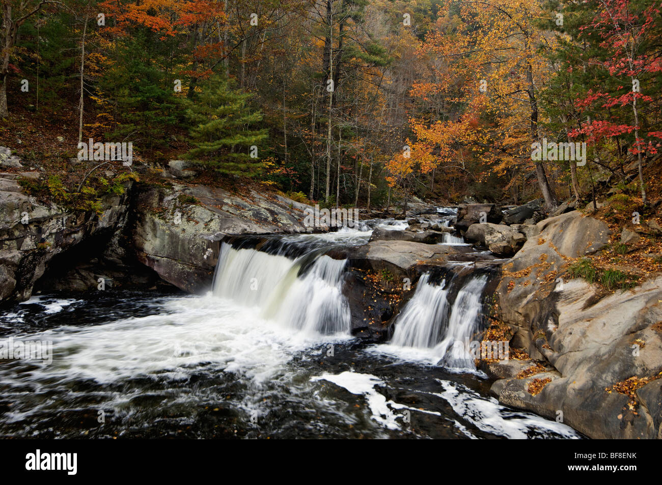Autumn Color and Baby Falls in Bald River Gorge Wilderness in Cherokee National Forest in Monroe County, Tennessee Stock Photo