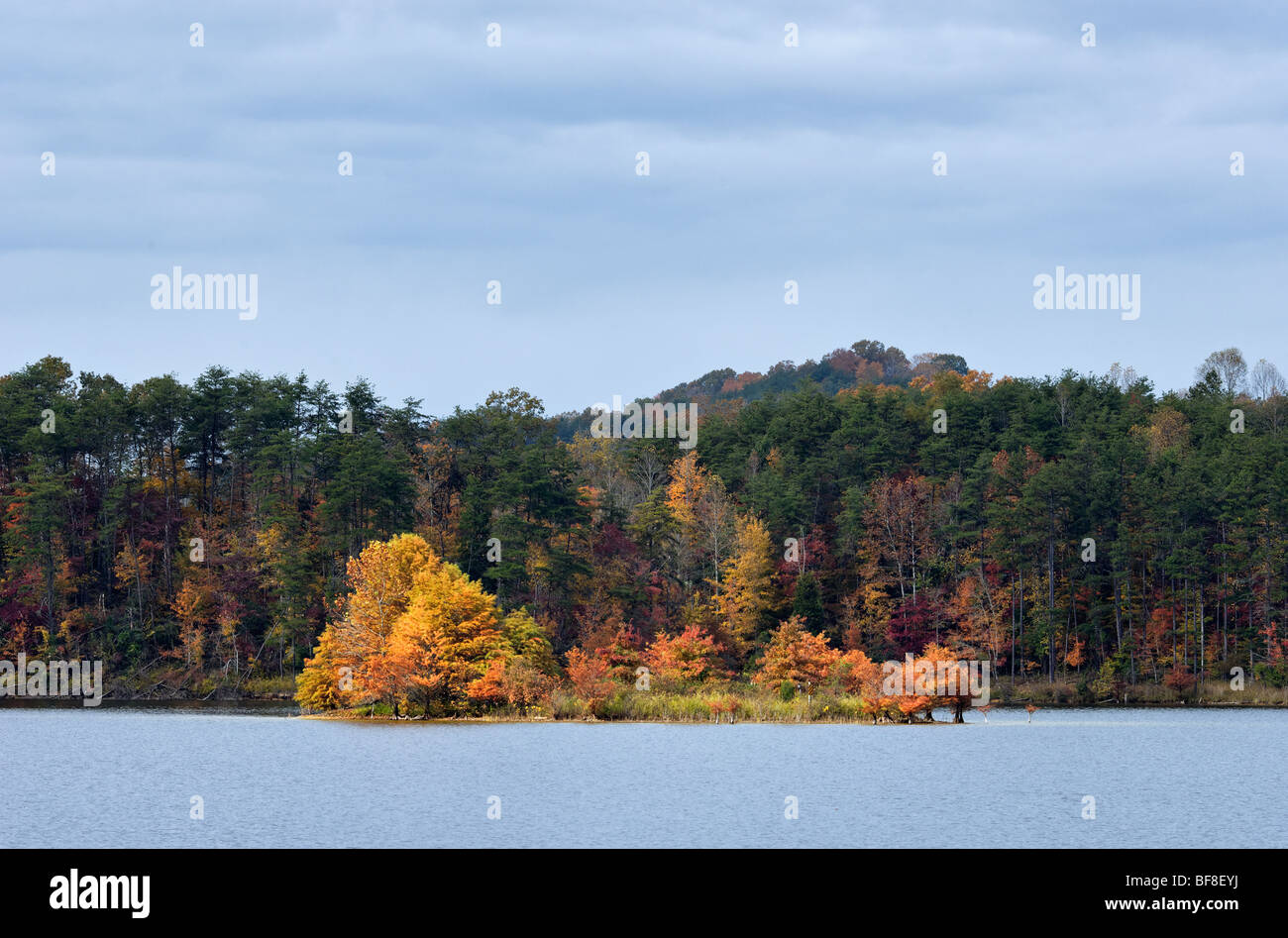 Small Island on Paintsville Lake Spotlighted by the Sun in Johnson