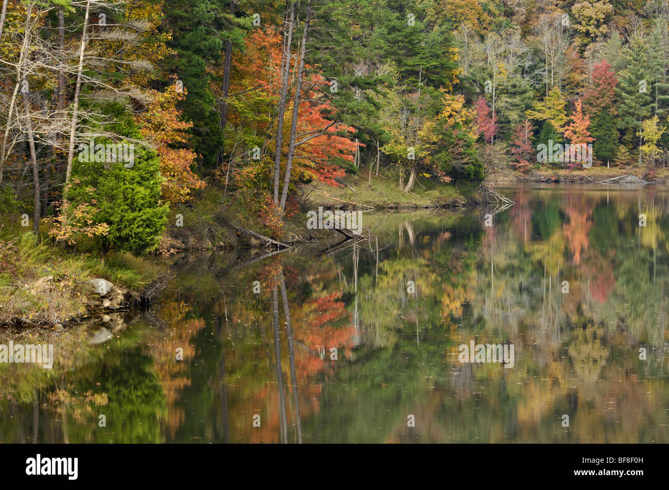 Shoreline with Autumn Color on Paintsville Lake in Johnson County