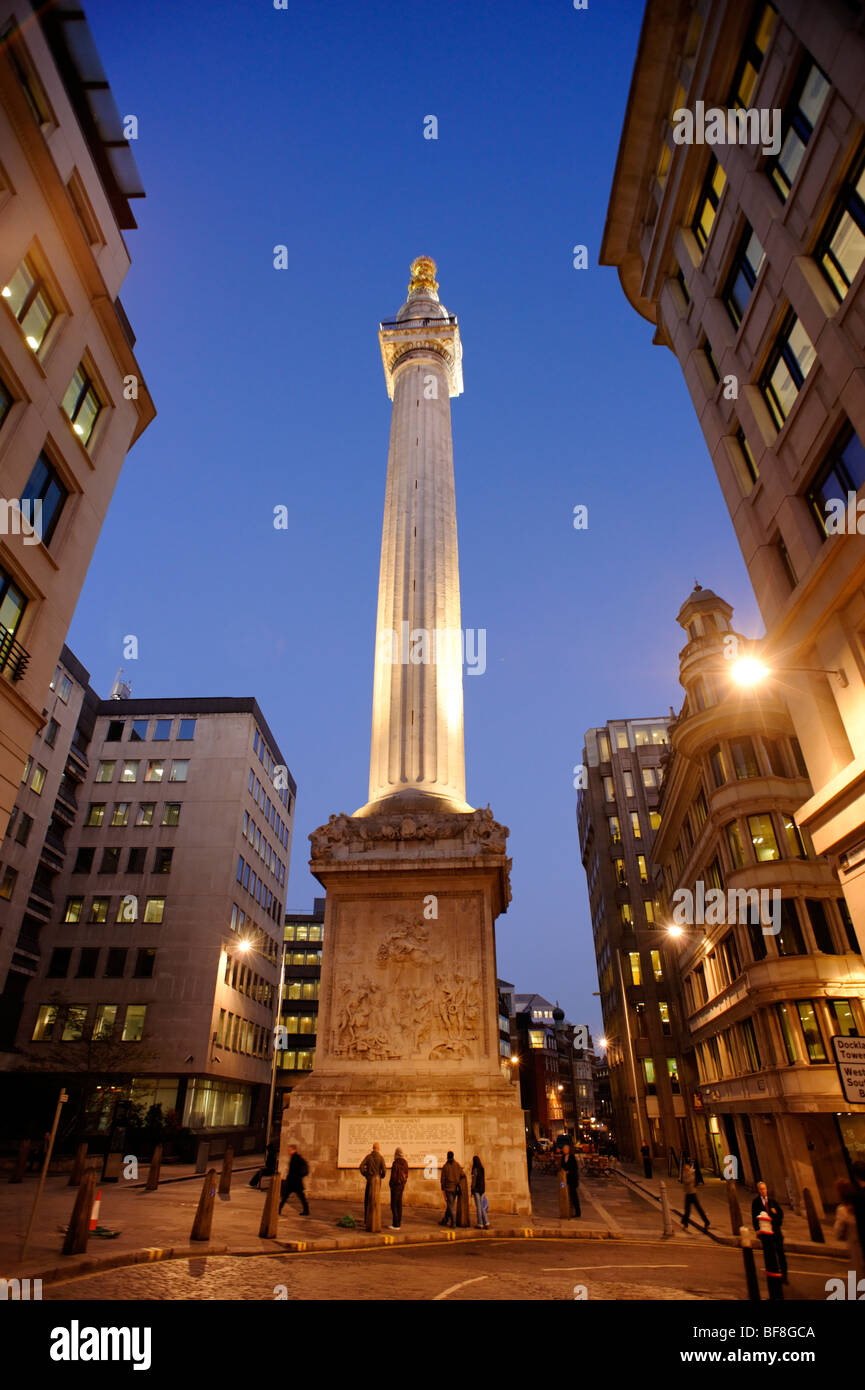 The Monument to the Great Fire of London. City of London. UK 2009 Stock Photo Alamy