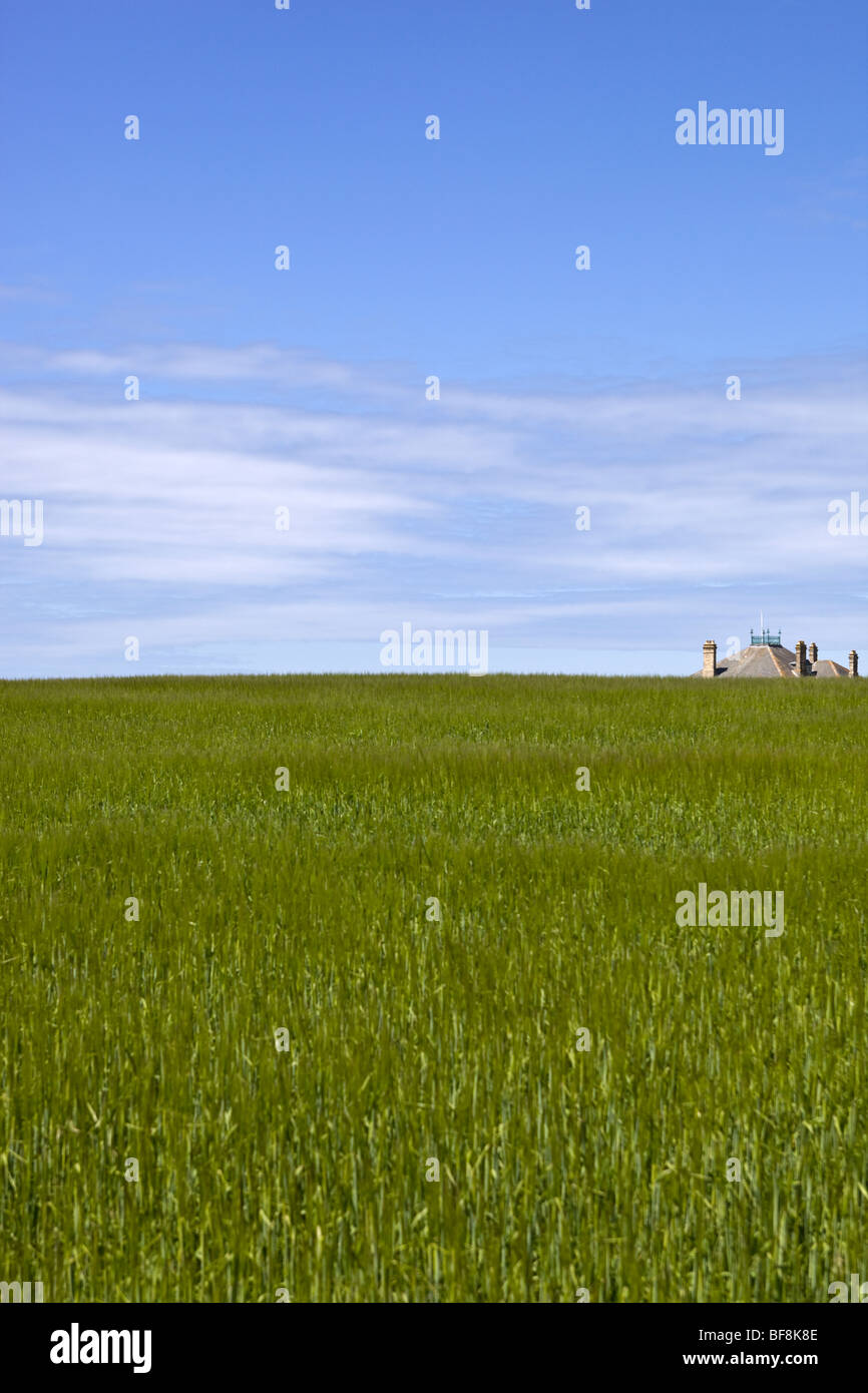 Roof of House just visible over Field Cornwall Stock Photo