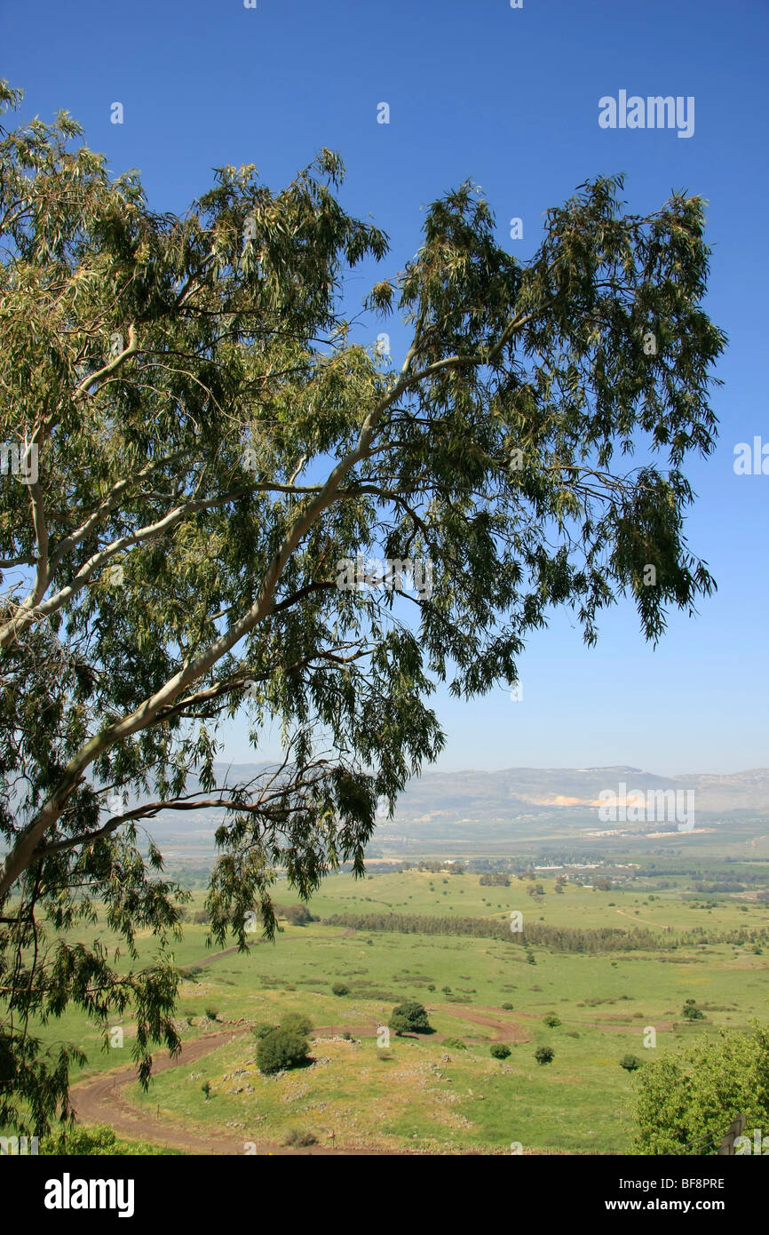 Golan Heights, Tel Faher is one of the Syrian fortifications that was captured by the Israel Defense Forces in the Six Day War Stock Photo