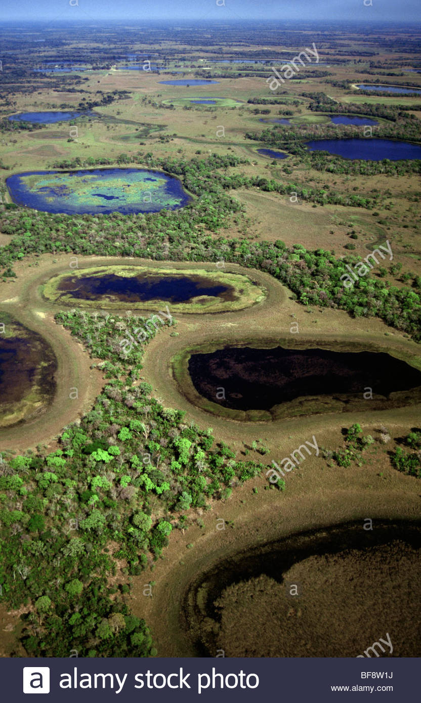 Pantanal Brazil Aerial Stock Photos & Pantanal Brazil Aerial Stock ...