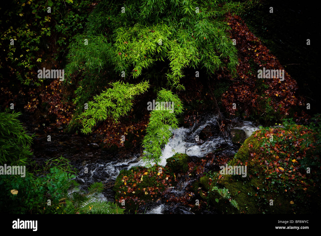 North Wales Snowdonia Croesor Autumn colourful stormy colorful landscape nature Stock Photo