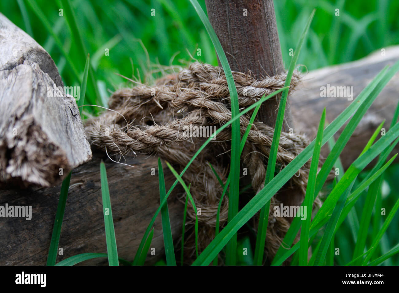 Choir rope hi-res stock photography and images - Alamy