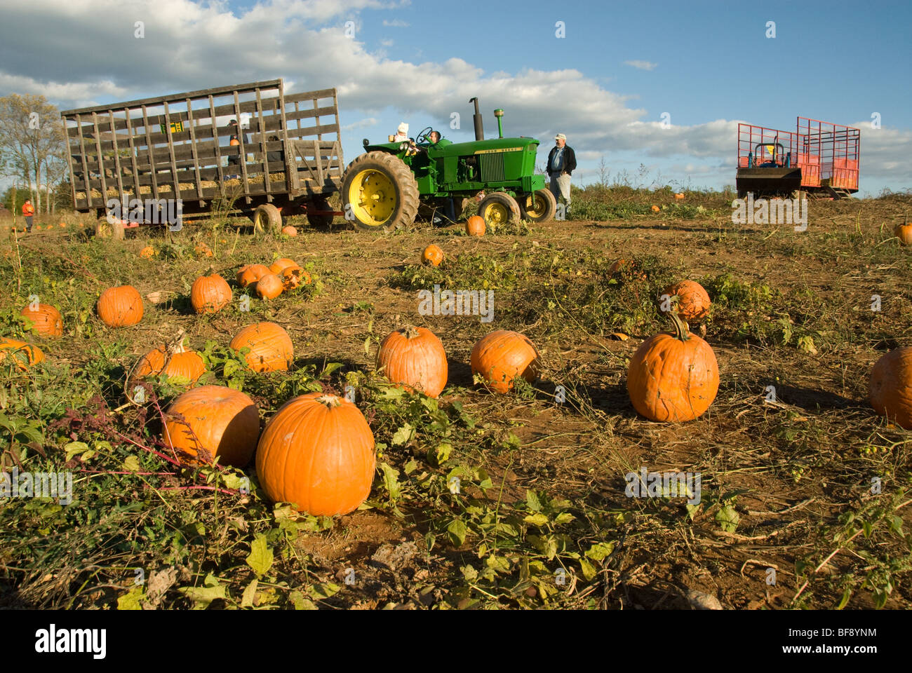Farm Fall Pumpkin sales and hayride wagons Stock Photo Alamy