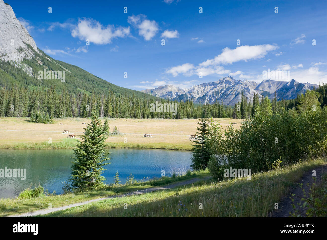 Cascade Pond in August Banff National Park Canada Stock Photo Alamy