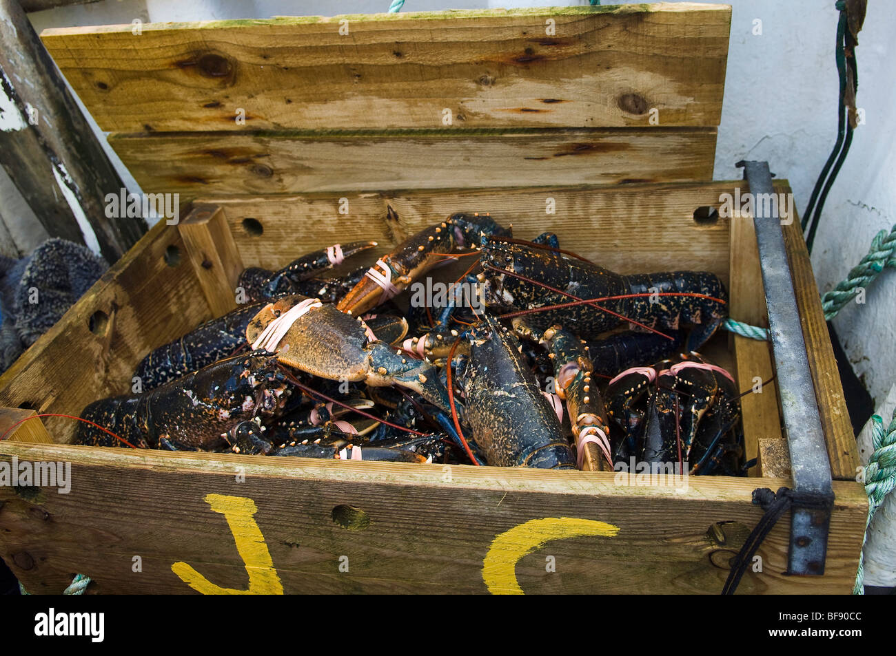 Small fishing vessels work out of ports such as Stromness on Orkney, and the fishermen use traditional methods to catch lobster Stock Photo