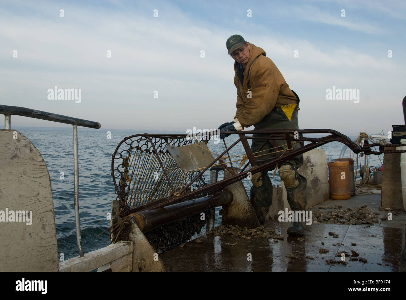 Waterman on Skipjack Thomas Clyde dredging oysters near Tilghman Island