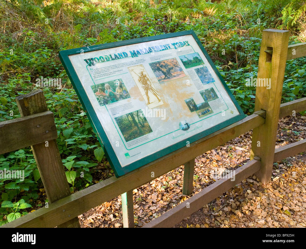 information-board-uk-woodland-hi-res-stock-photography-and-images-alamy