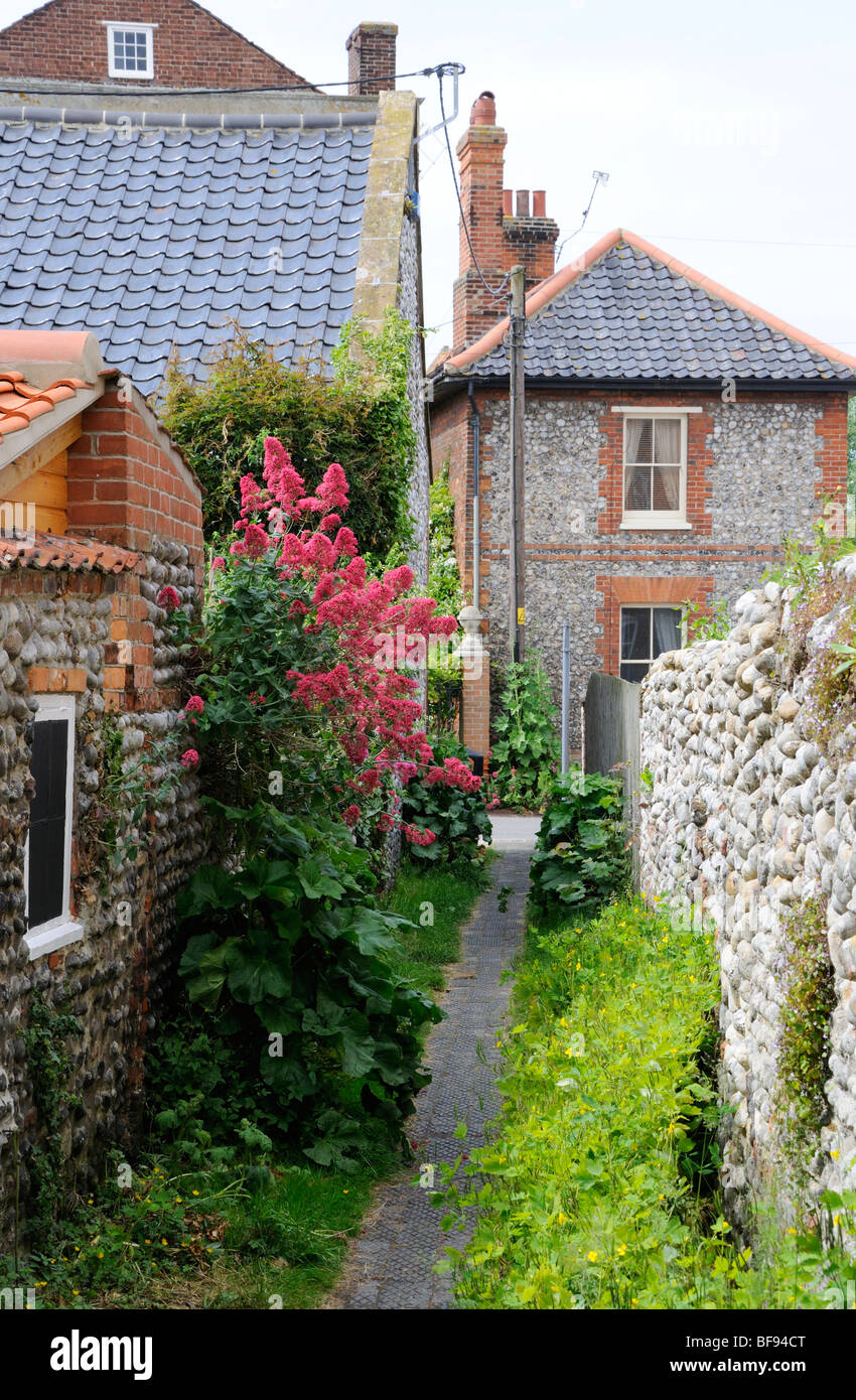 Path Between Cottages In The Village Of Cley Next The Sea Norfolk