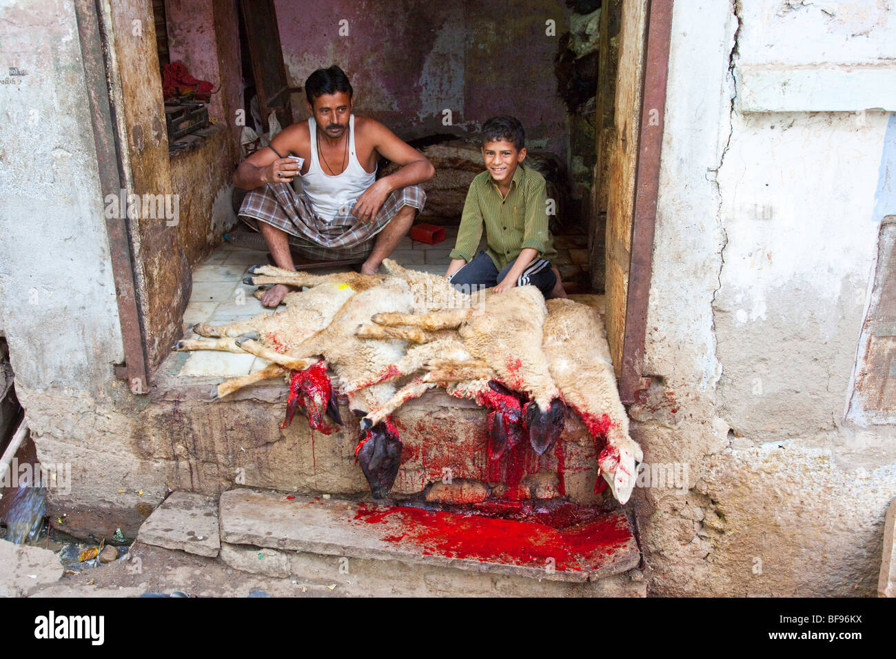 Butchers in Ajmer in Rajasthan India Stock Photo