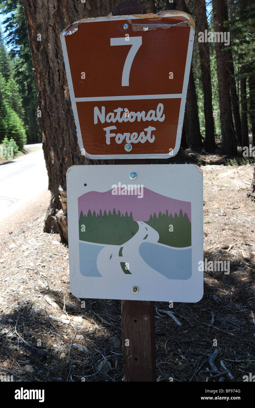 National Forest road sign on Beasore road, Sierra National Forest